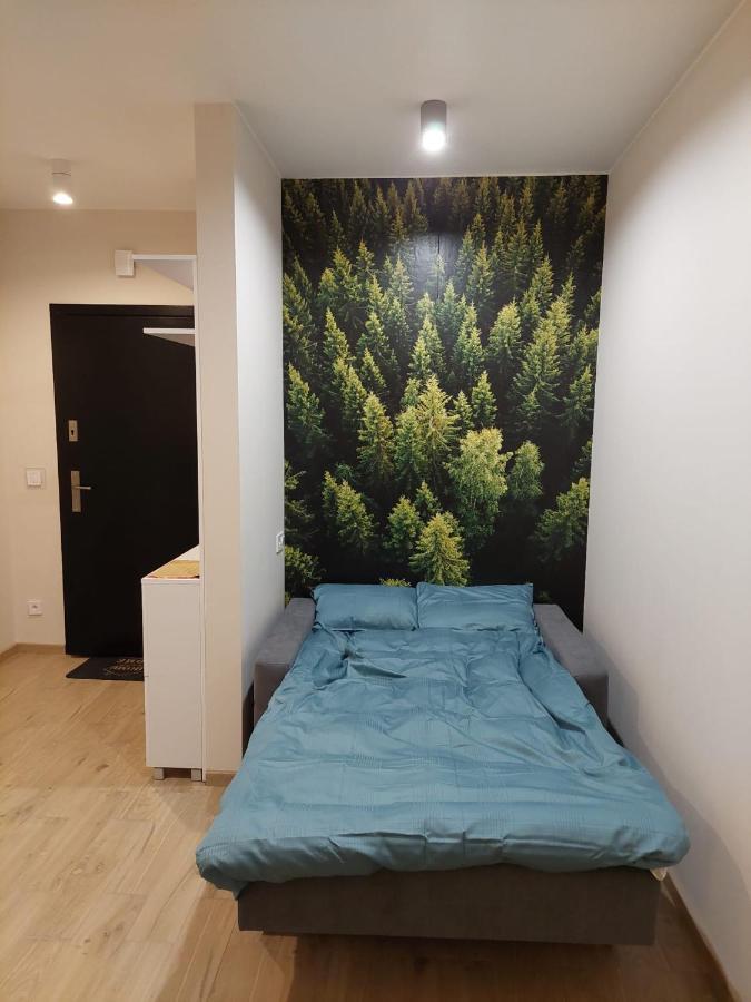 Apartament Pod Gora Szyndzielnia , Debowiec ビエルスコ・ビアバ エクステリア 写真
