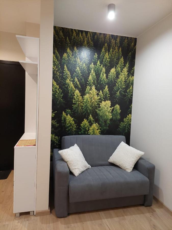 Apartament Pod Gora Szyndzielnia , Debowiec ビエルスコ・ビアバ エクステリア 写真