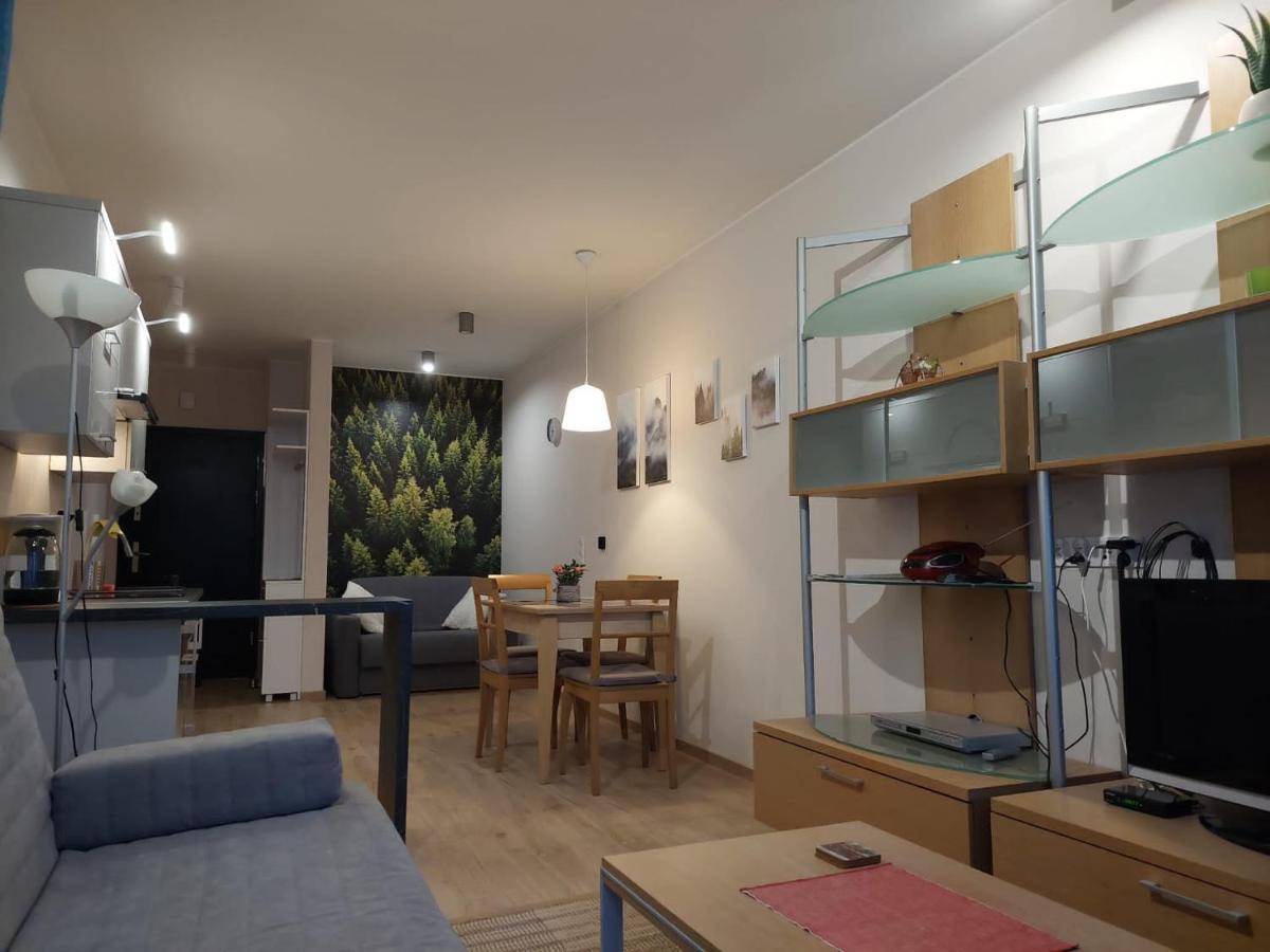 Apartament Pod Gora Szyndzielnia , Debowiec ビエルスコ・ビアバ エクステリア 写真